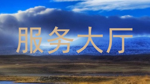服务大厅