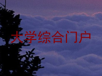大学综合门户