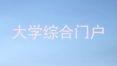 大学综合门户