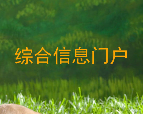 综合信息门户