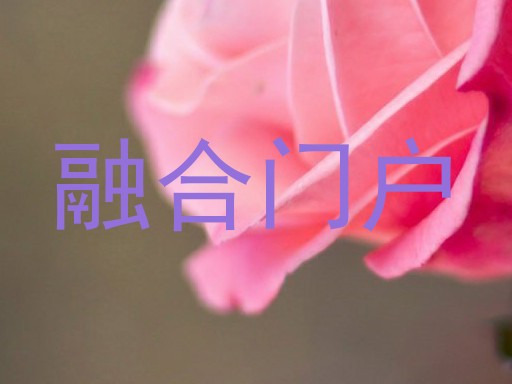 融合门户