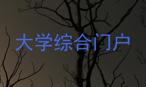 大学综合门户