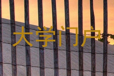 大学门户
