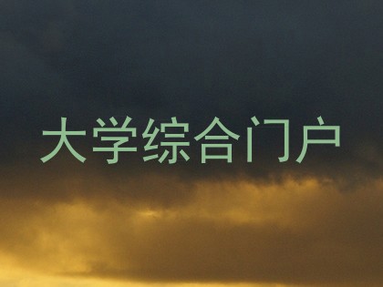 大学综合门户