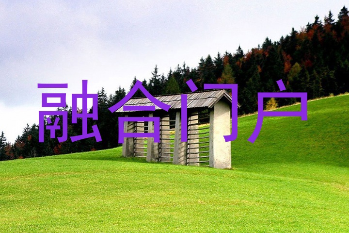 融合门户系统