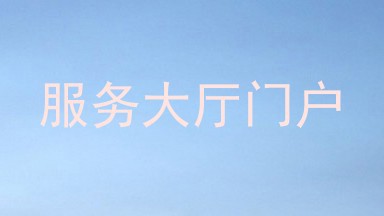 服务大厅门户