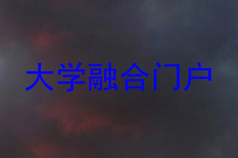 大学融合门户