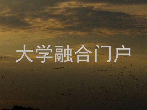 大学融合门户