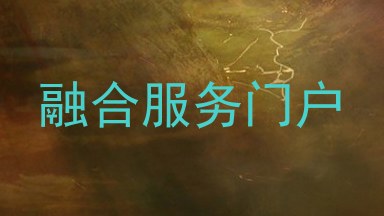 融合服务门户