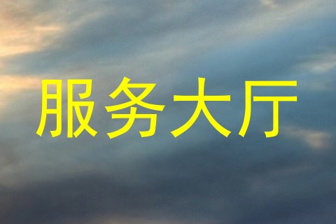 服务大厅