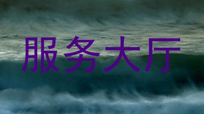 服务大厅