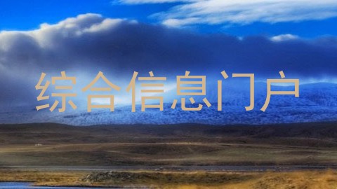 综合信息门户