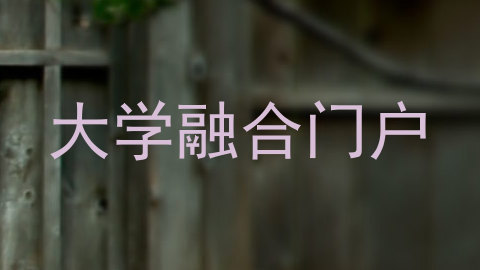 大学融合门户