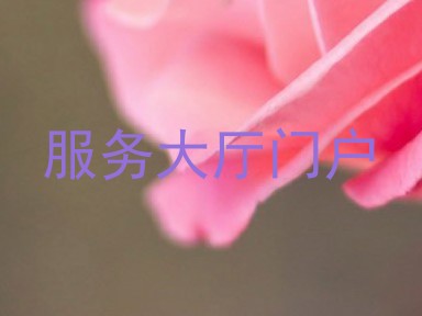 服务大厅门户
