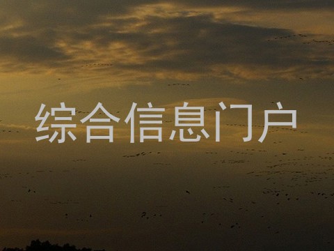 综合信息门户
