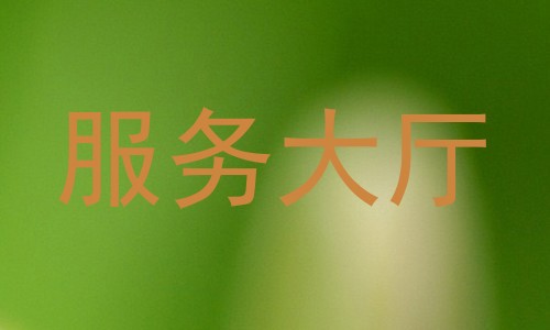 服务大厅