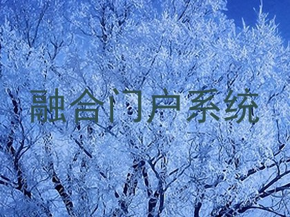 融合门户系统