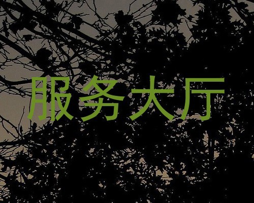 服务大厅
