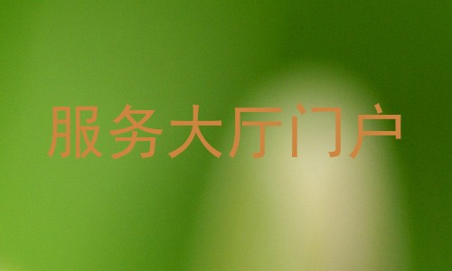 服务大厅门户