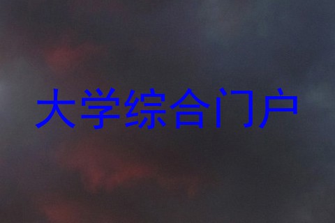 大学综合门户