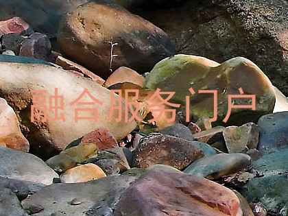 融合服务门户