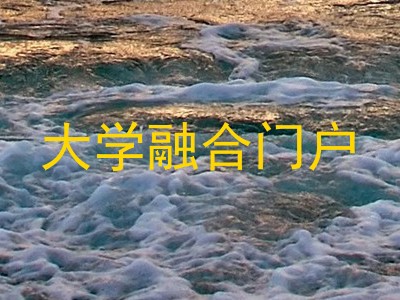 大学融合门户