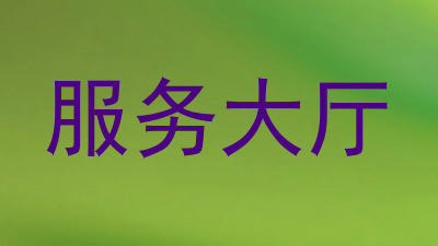 服务大厅