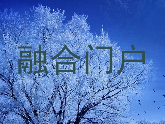 融合门户