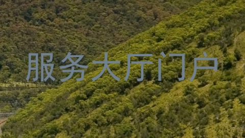 服务大厅门户