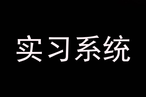 实习系统