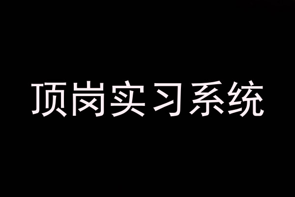 顶岗实习系统