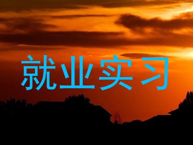 就业实习