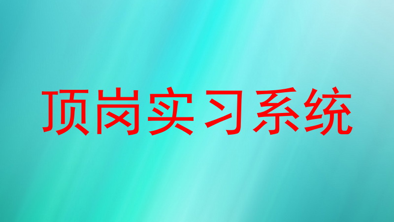 顶岗实习系统