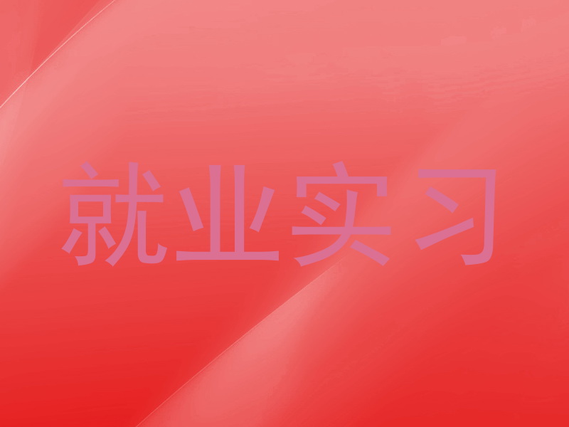 就业实习