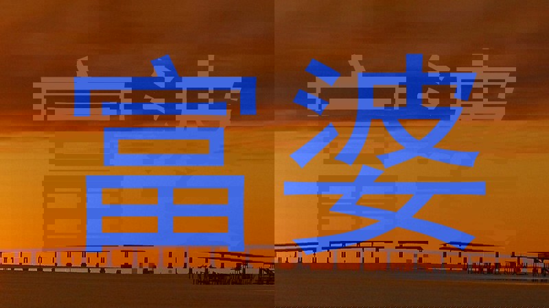 富婆