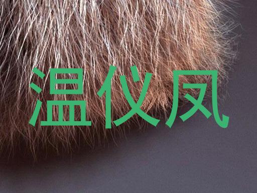温仪凤