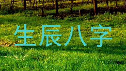 生辰八字