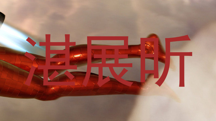 湛展昕