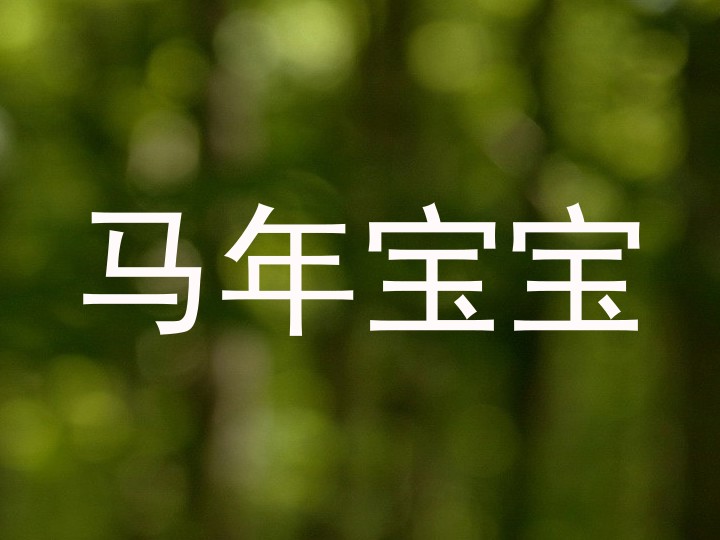 马年宝宝