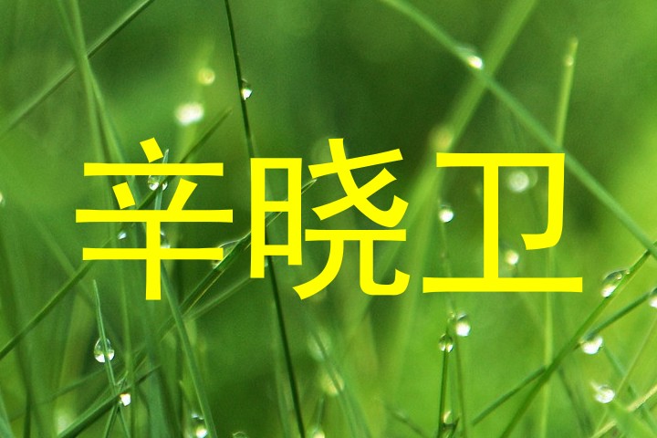 辛晓卫