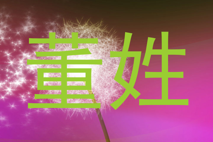 董姓