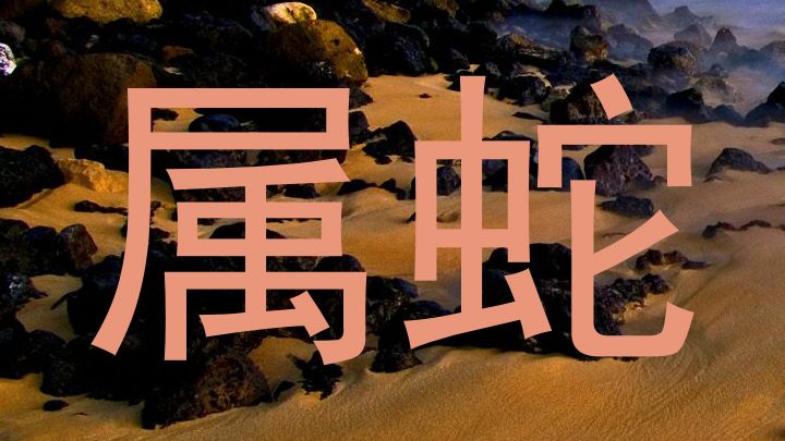 属蛇