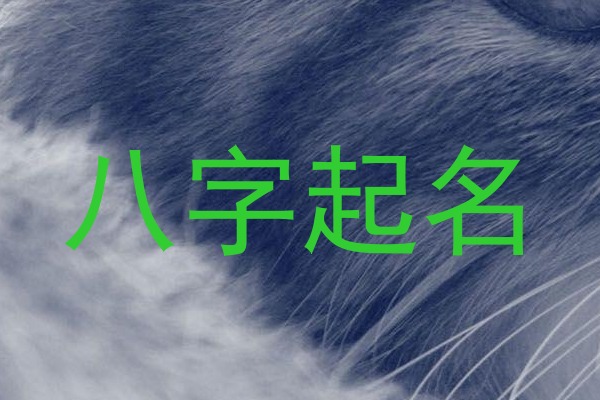 八字起名
