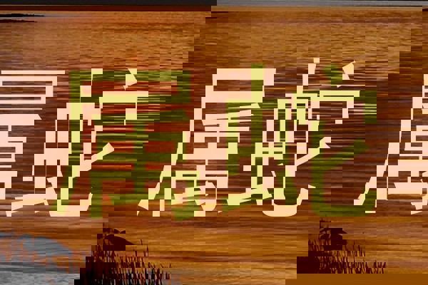 属蛇