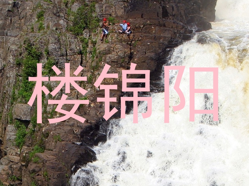 楼锦阳