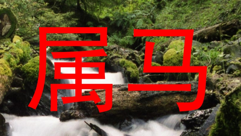 属马