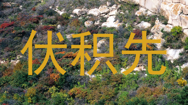 伏积先