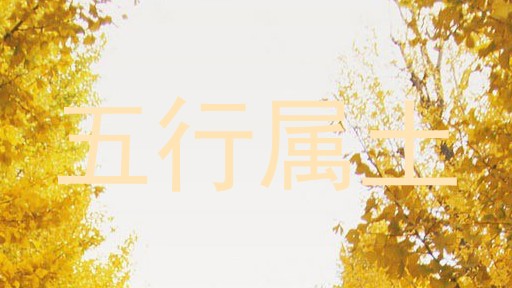 五行属土
