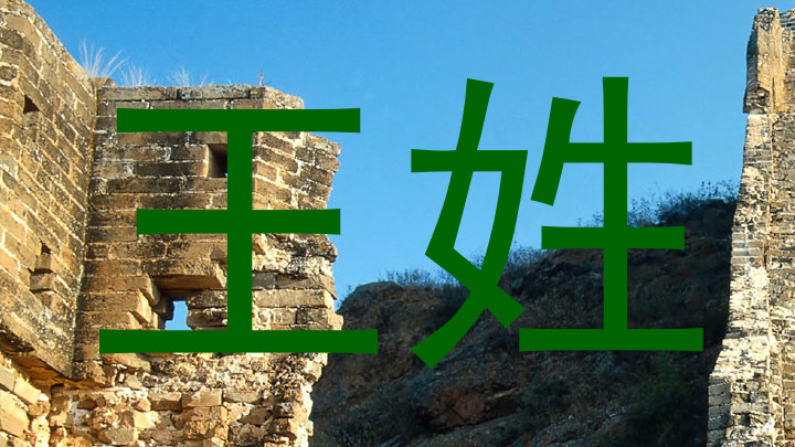 王姓