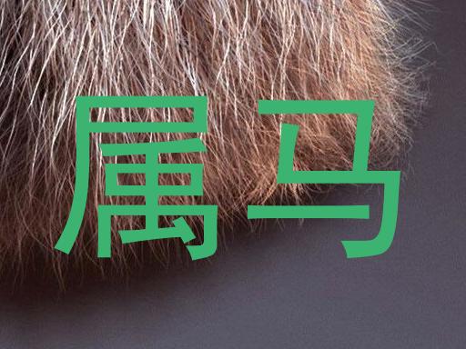 属马